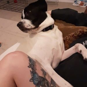 Meet your Posher, Nikki